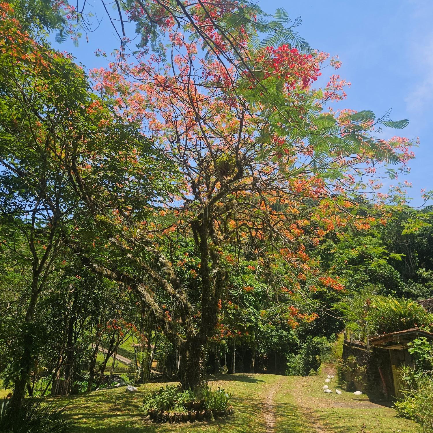 Sitio Cristo Redentor Villa Guapimirim Exterior photo